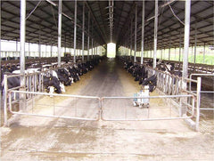Dairy Farm Sheds: