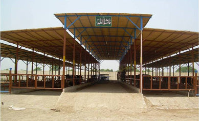 Dairy Farm Sheds: